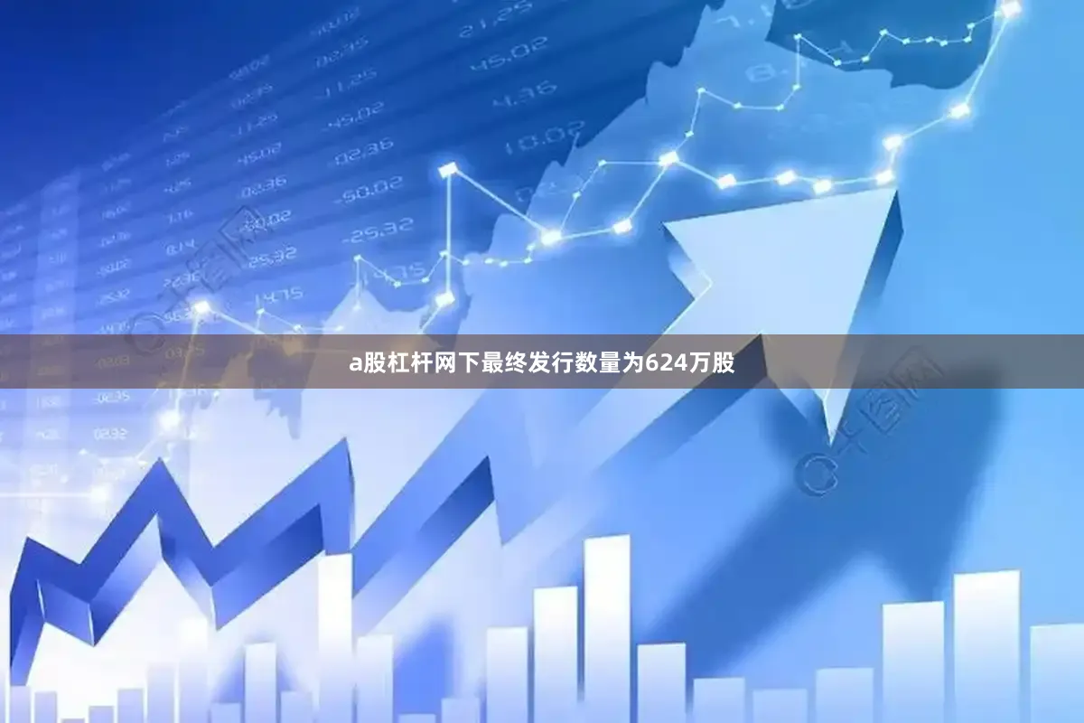 a股杠杆网下最终发行数量为624万股